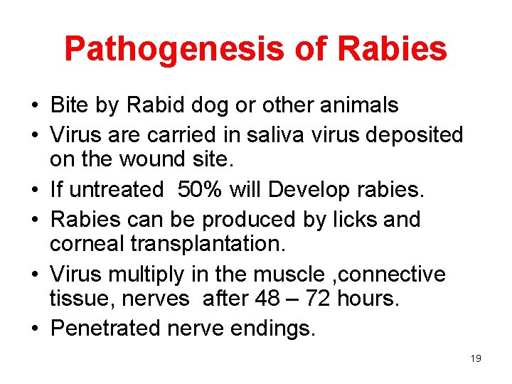 Pathogenesis of Rabies • Bite by Rabid dog or other animals • Virus are