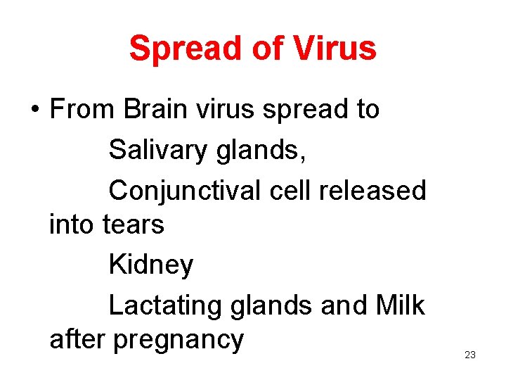 Spread of Virus • From Brain virus spread to Salivary glands, Conjunctival cell released