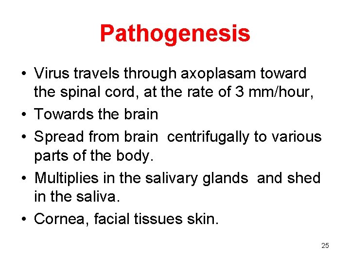 Pathogenesis • Virus travels through axoplasam toward the spinal cord, at the rate of