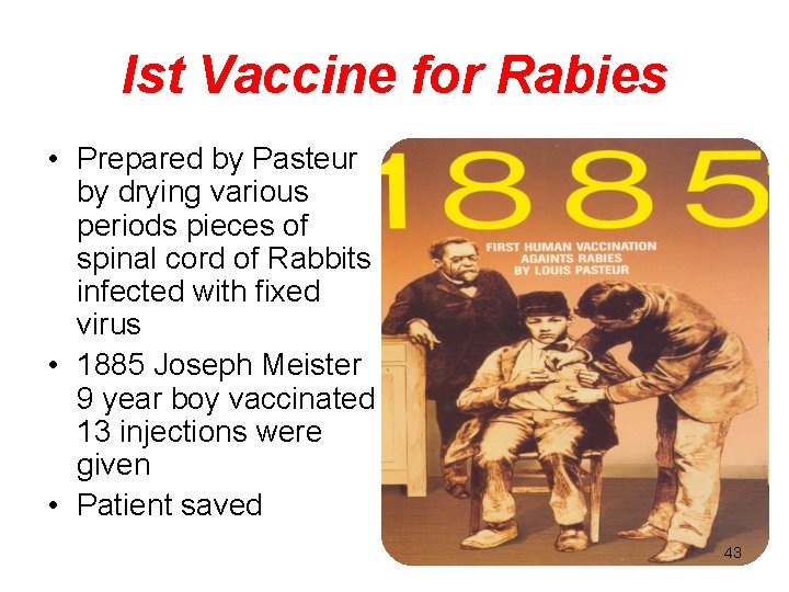 Ist Vaccine for Rabies • Prepared by Pasteur by drying various periods pieces of