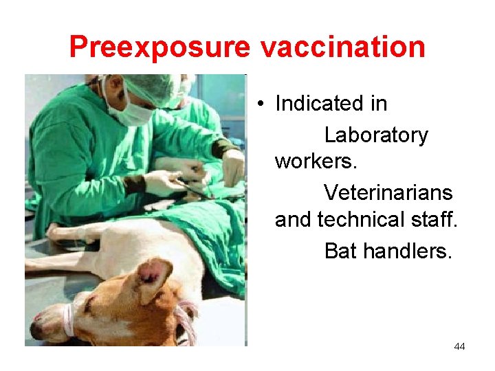 Preexposure vaccination • Indicated in Laboratory workers. Veterinarians and technical staff. Bat handlers. 44