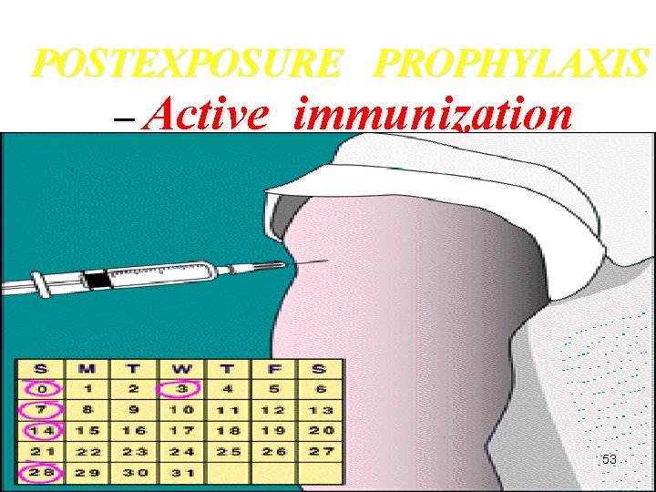 POSTEXPOSURE PROPHYLAXIS – Active immunization 53 