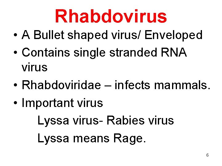 Rhabdovirus • A Bullet shaped virus/ Enveloped • Contains single stranded RNA virus •