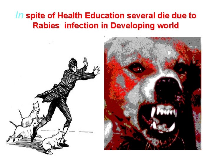 In spite of Health Education several die due to Rabies infection in Developing world