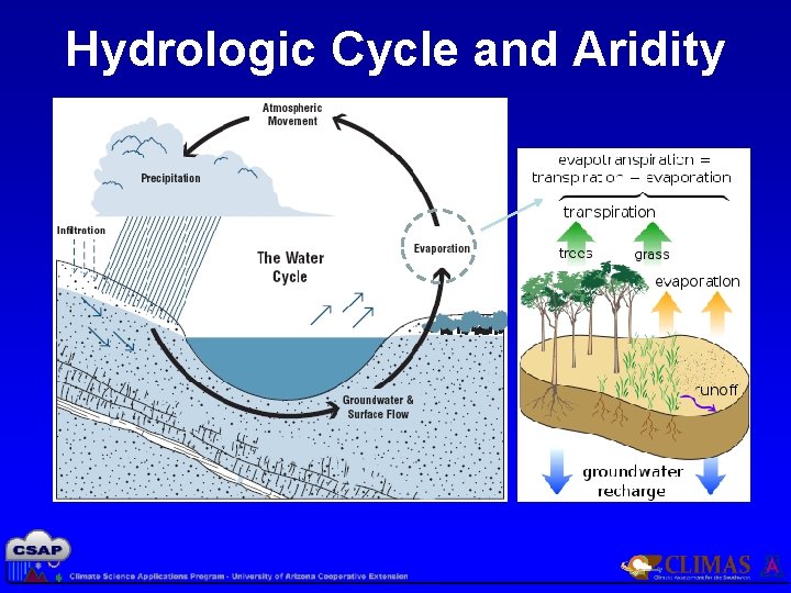 Hydrologic Cycle and Aridity 