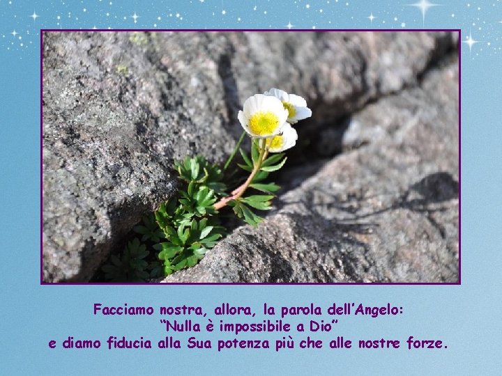 Facciamo nostra, allora, la parola dell’Angelo: “Nulla è impossibile a Dio” e diamo fiducia