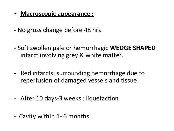  • Macroscopic appearance : - No gross change before 48 hrs - Soft