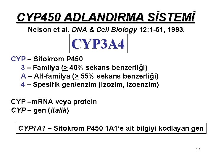 CYP 450 ADLANDIRMA SİSTEMİ Nelson et al. DNA & Cell Biology 12: 1 -51,