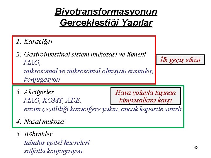 Biyotransformasyonun Gerçekleştiği Yapılar 1. Karaciğer 2. Gastrointestinal sistem mukozası ve lümeni İlk geçiş etkisi