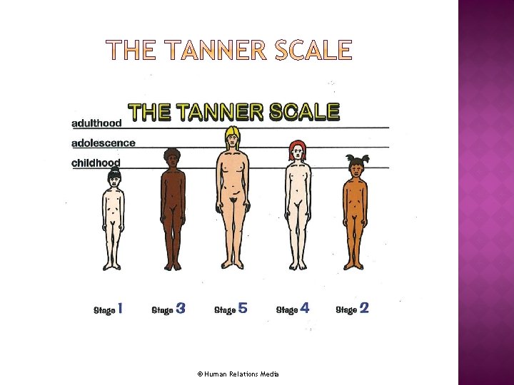 © Human Relations Media 