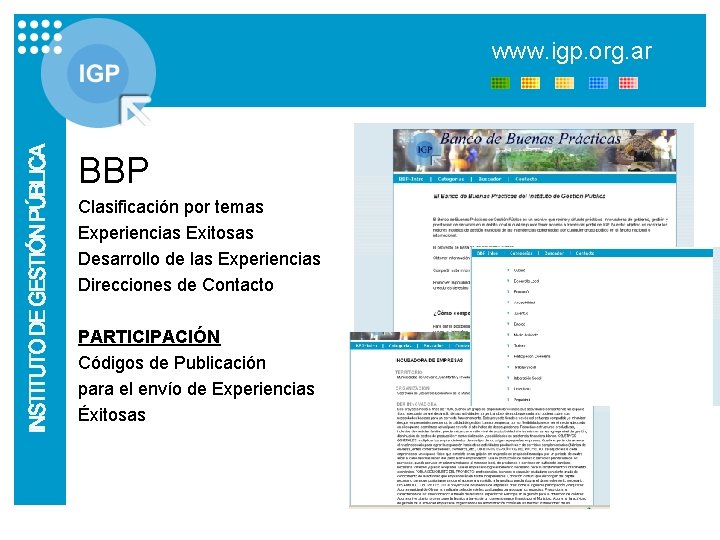 www. igp. org. ar BBP Clasificación por temas Experiencias Exitosas Desarrollo de las Experiencias