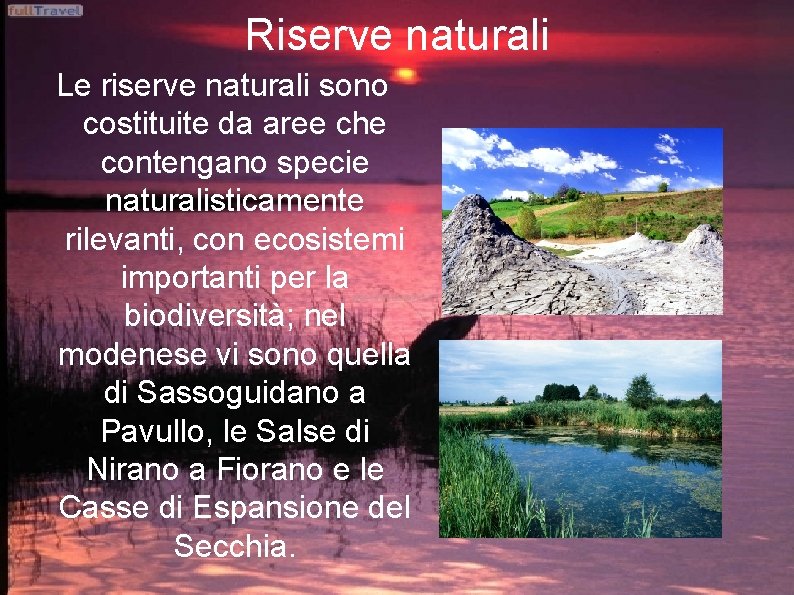 Riserve naturali Le riserve naturali sono costituite da aree che contengano specie naturalisticamente rilevanti,