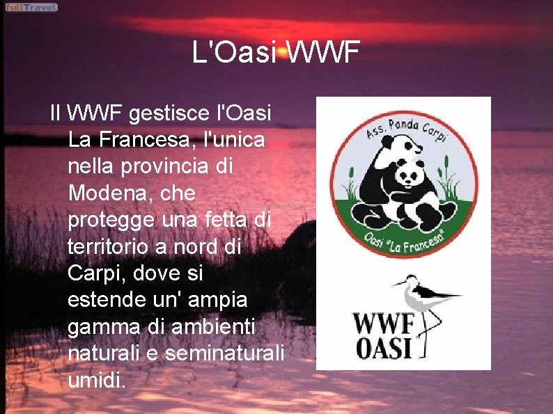 L'Oasi WWF Il WWF gestisce l'Oasi La Francesa, l'unica nella provincia di Modena, che