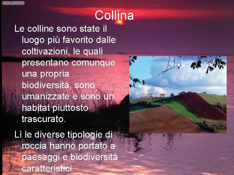 Collina Le colline sono state il luogo più favorito dalle coltivazioni, le quali presentano