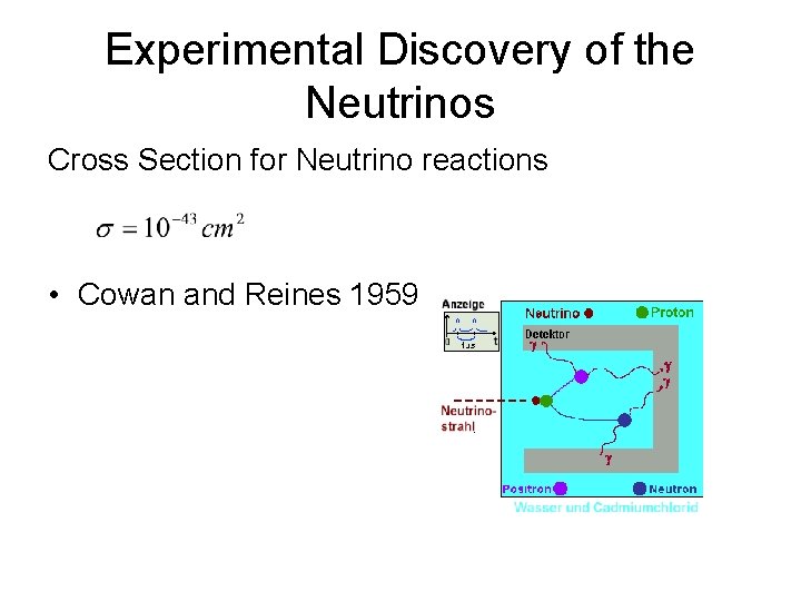 Experimental Discovery of the Neutrinos Cross Section for Neutrino reactions • Cowan and Reines