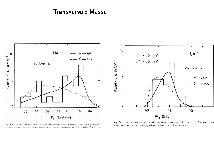 Transversale Masse 
