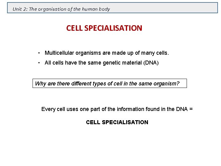 Unit 2: The organisation of the human body CELL SPECIALISATION • Multicellular organisms are