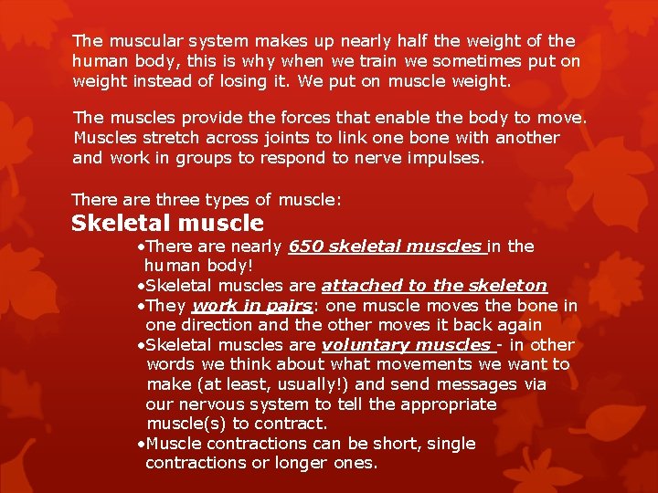 The muscular system makes up nearly half the weight of the human body, this