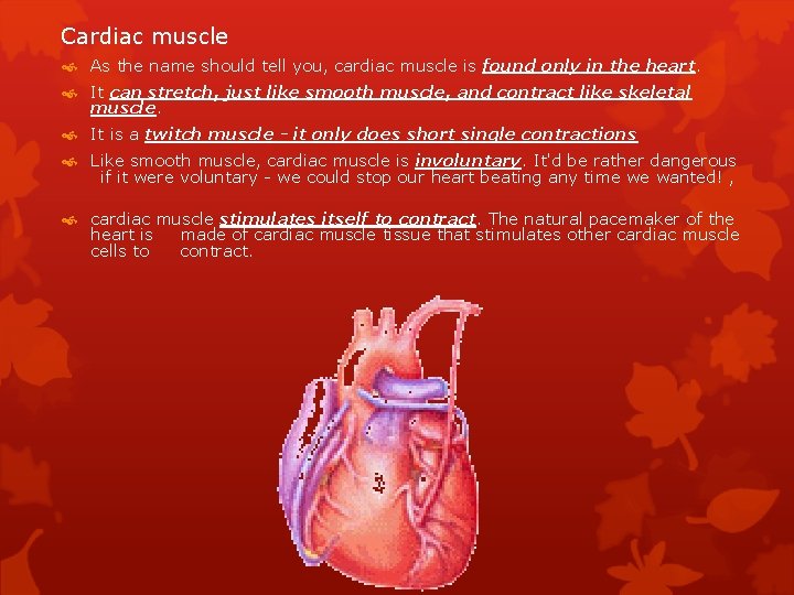 Cardiac muscle As the name should tell you, cardiac muscle is found only in
