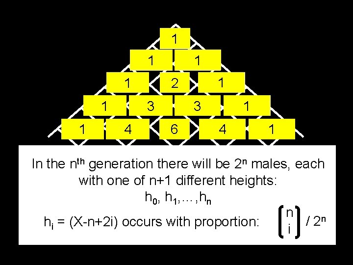 1 X 1 X-2 1 X-3 1 1 X-4 1 X+1 X 2 X-1