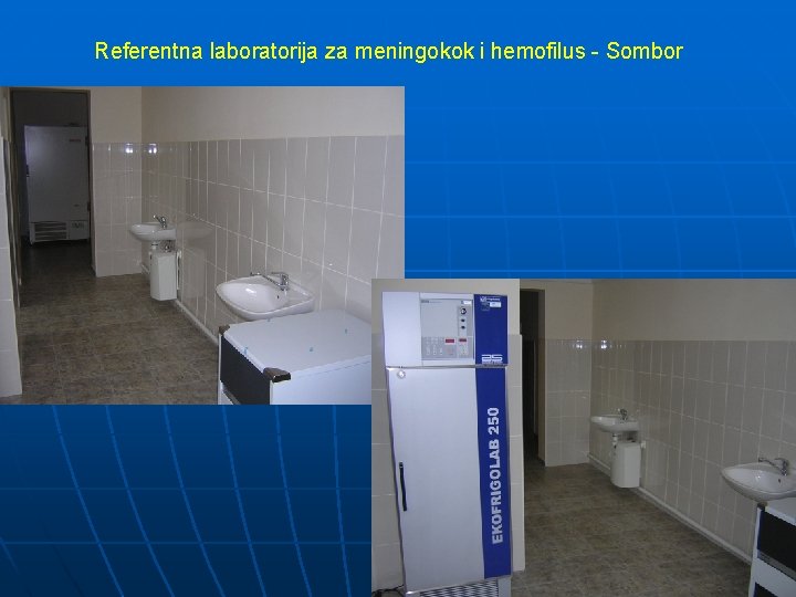 Referentna laboratorija za meningokok i hemofilus - Sombor 