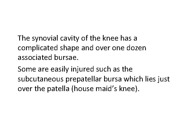 The synovial cavity of the knee has a complicated shape and over one dozen