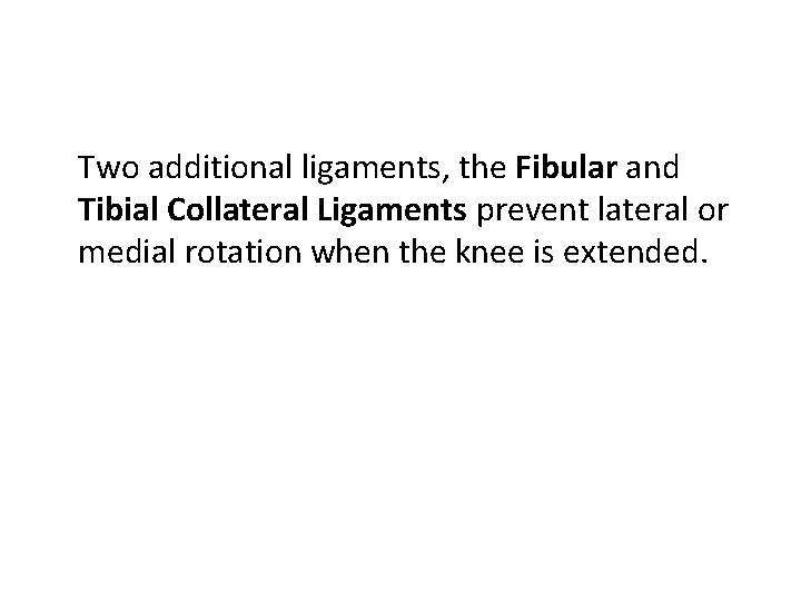 Two additional ligaments, the Fibular and Tibial Collateral Ligaments prevent lateral or medial rotation