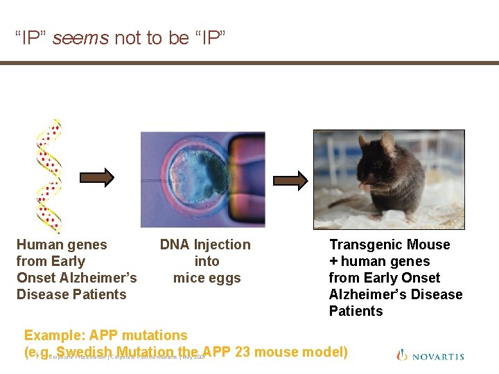 “IP” seems not to be “IP” Human genes from Early Onset Alzheimer’s Disease Patients