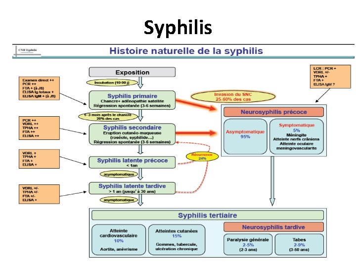 Syphilis 