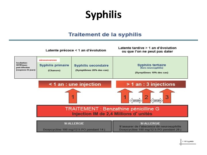 Syphilis 