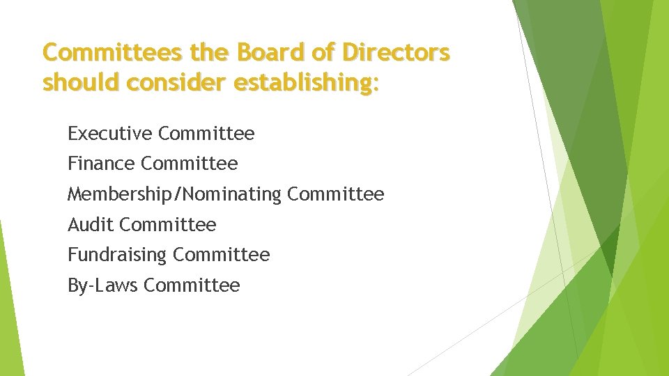 Committees the Board of Directors should consider establishing: Executive Committee Finance Committee Membership/Nominating Committee