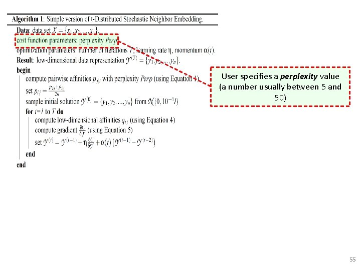 User specifies a perplexity value (a number usually between 5 and 50) 55 User specifies a perplexity value (a number usually between 5 and 50) 55