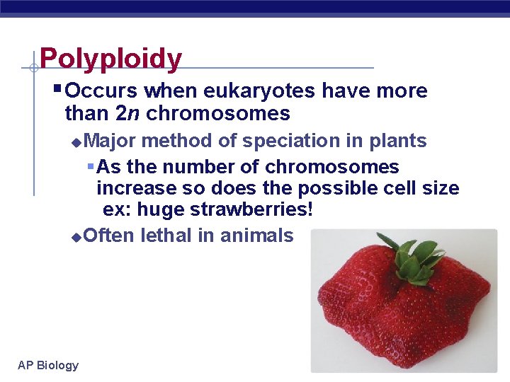 Polyploidy §Occurs when eukaryotes have more than 2 n chromosomes Major method of speciation