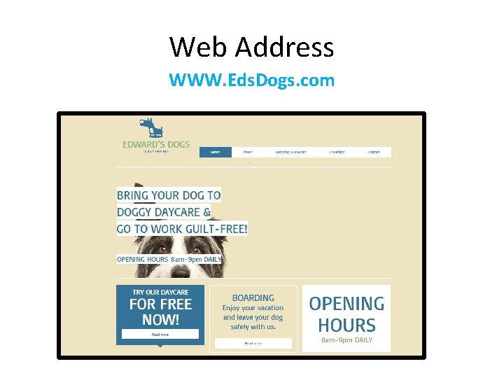 Web Address WWW. Eds. Dogs. com 