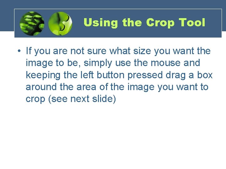 Using the Crop Tool • If you are not sure what size you want