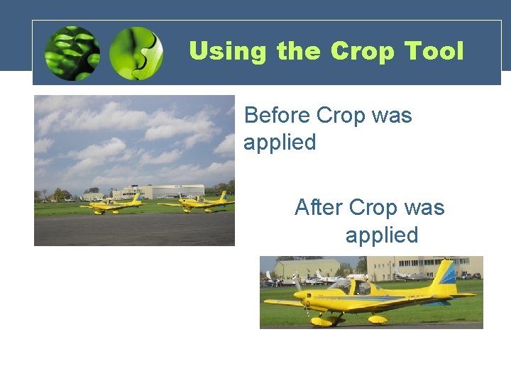 Using the Crop Tool Before Crop was applied After Crop was applied 