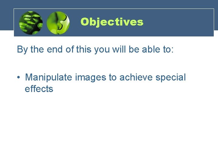 Objectives By the end of this you will be able to: • Manipulate images