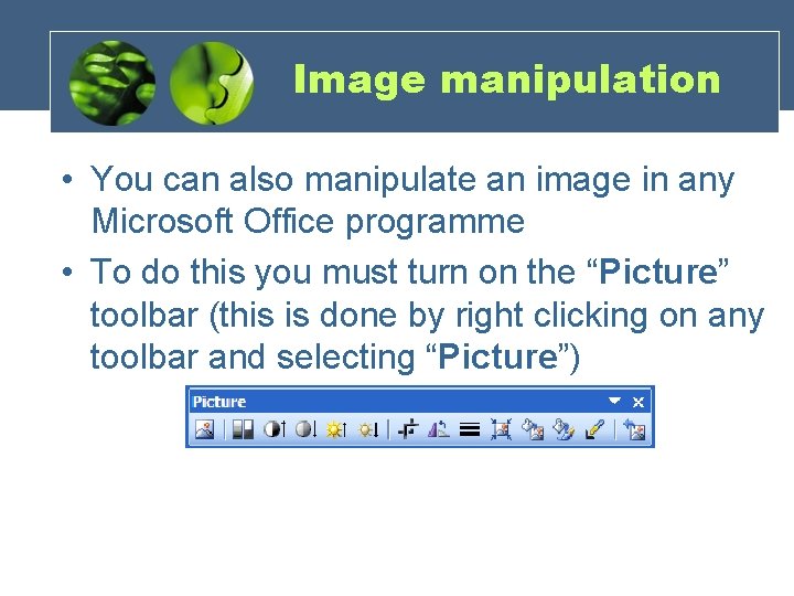 Image manipulation • You can also manipulate an image in any Microsoft Office programme