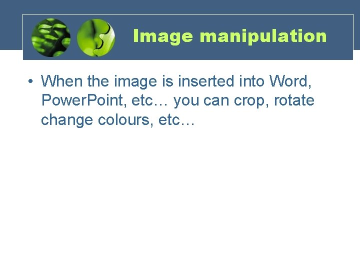 Image manipulation • When the image is inserted into Word, Power. Point, etc… you