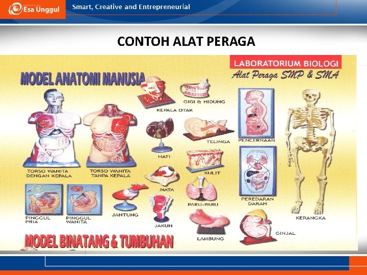 CONTOH ALAT PERAGA 