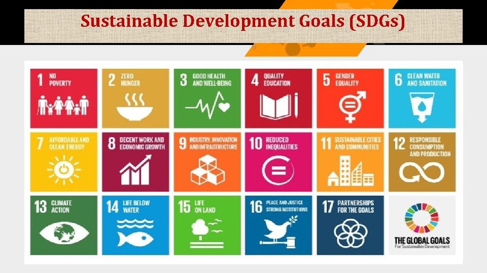 Sustainable Development Goals (SDGs) 9 