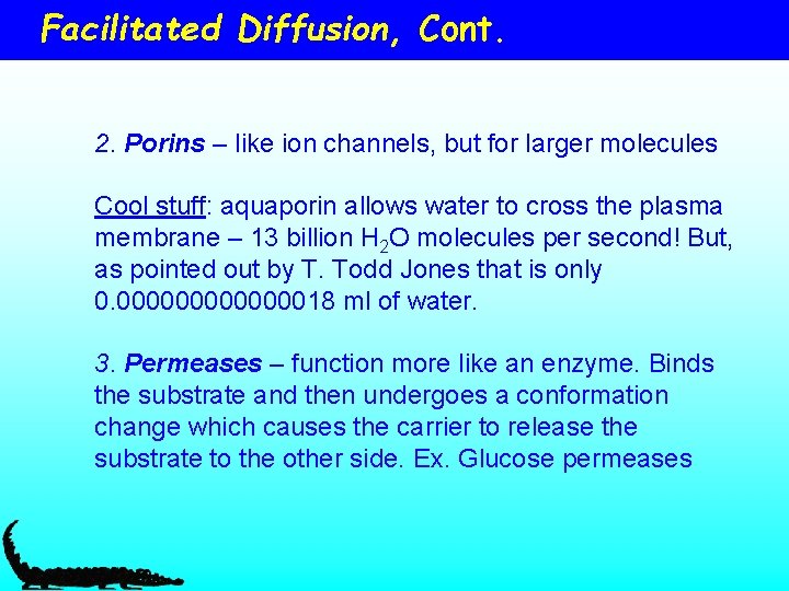 Facilitated Diffusion, Cont. 2. Porins – like ion channels, but for larger molecules Cool