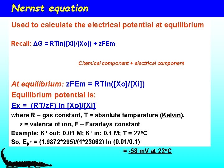 Nernst equation Used to calculate the electrical potential at equilibrium Recall: ΔG = RTln([Xi]/[Xo])