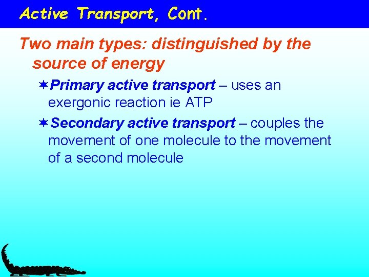 Active Transport, Cont. Two main types: distinguished by the source of energy ¬Primary active