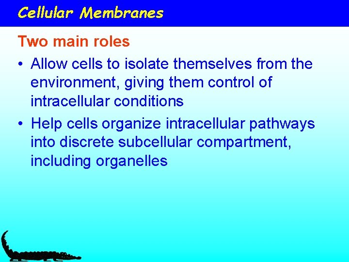 Cellular Membranes Two main roles • Allow cells to isolate themselves from the environment,