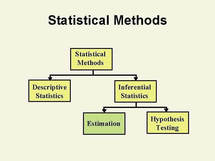 Statistical Methods Descriptive Statistics Inferential Statistics Estimation Hypothesis Testing 