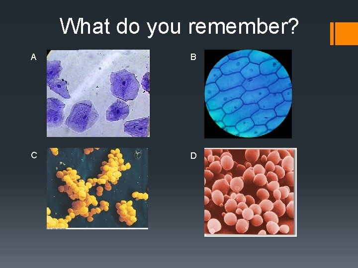 What do you remember? A B C D 