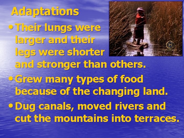 Adaptations • Their lungs were larger and their legs were shorter and stronger than