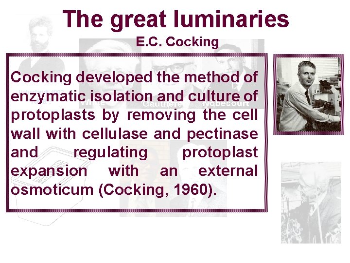 The great luminaries E. C. Cocking developed the method of enzymatic isolation and culture