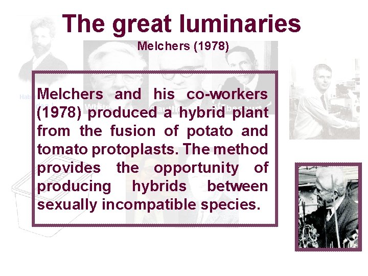 The great luminaries Melchers (1978) Melchers and his co-workers Idea ! (1978) First produced
